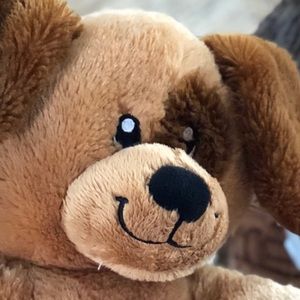 Meet your Posher, Arlene